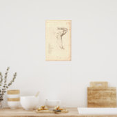 1833肩の筋肉ヴィンテージ解剖学プリント ポスター (キッチン)