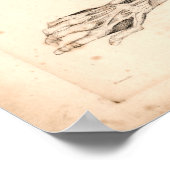 1833 Muscles of Arm Vintage Anatomy Print ポスター (角)