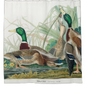 1834年マラード・ダック、アメリカの鳥から シャワーカーテン (正面)