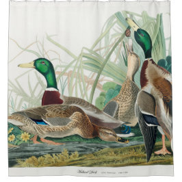 1834年マラード・ダック、アメリカの鳥から シャワーカーテン