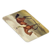 1836年にダービーを獲得したベイ・ミドルトン マグネット (右側)