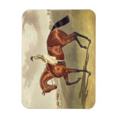 1836年にダービーを獲得したベイ・ミドルトン マグネット (縦)