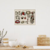 1837ヴィンテージ内臓解剖学ポスター ポスター (キッチン)