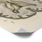 1837ヴィンテージ脳神経解剖学アートポスター ポスター (角)