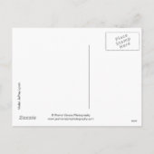 183.52クリスマス シーズンポストカード (裏面)