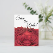 1840 – 赤のバラ ポストカード (スタンド正面)