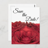 1840 – 赤のバラ ポストカード (正面/裏面)