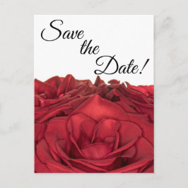 1840 – 赤のバラ ポストカード