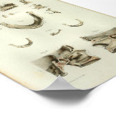 1844ヴィンテージプリントスカル骨 ポスター (角)