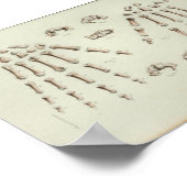 1844ヴィンテージ解剖学プリント手骨 ポスター (角)