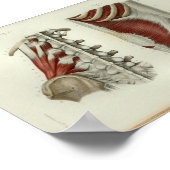 1844ヴィンテージ解剖学プリント筋肉Lumbar ポスター (角)