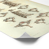 1844ヴィンテージ解剖学プリント頸椎 ポスター (角)