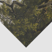 1849年アッシャー・ブラウン・デュランによる金霊 薄葉紙 (詳細)