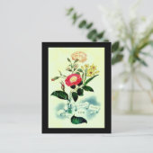 1850マガジンカバー ポストカード (スタンド正面)