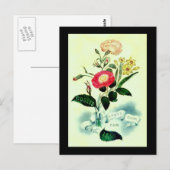 1850マガジンカバー ポストカード (正面/裏面)