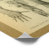 1850ヴィンテージ解剖学プリント肩筋肉 ポスター (角)