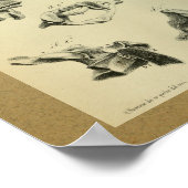 1850ヴィンテージ解剖学プリント脊椎骨 ポスター (角)