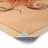 1851ヴィンテージカラタコプリント ポスター (角)