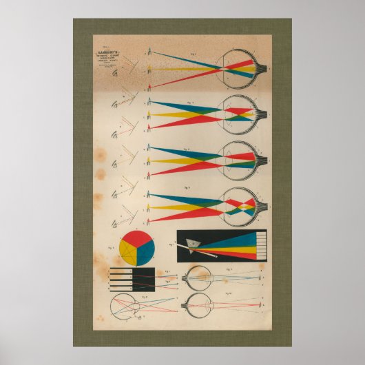 1851ヴィンテージ視力解剖図 ポスター (正面)