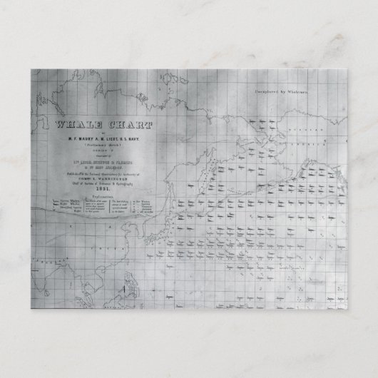 1851年の北太平洋のクジラ図 ポストカード (正面)