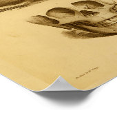 1854ヴィンテージヒトスカル顎解剖学プリント ポスター (角)