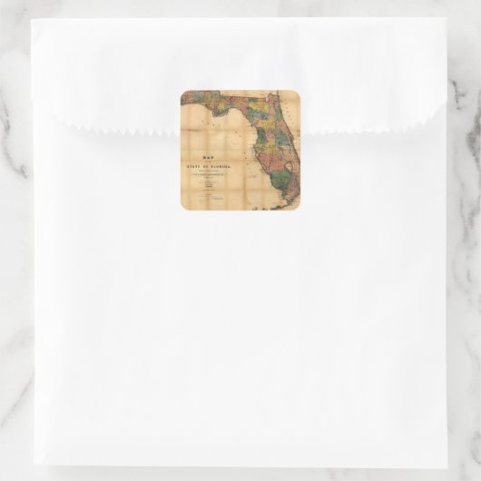 1856コロンバス・ドリューによるフロリダ州の地図 スクエアシール (バッグ)