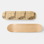 1856コロンバス・ドリューによるフロリダ州の地図 スケートボード (横)