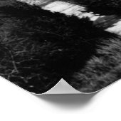 1859年:ワシントンDC、米国の首都 ポスター (角)