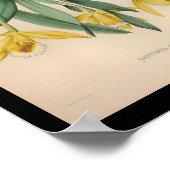 1860ヴィンテージオーキッドフラワープリントイエロー ポスター (角)