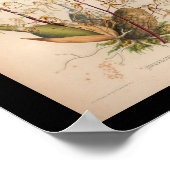 1860ヴィンテージオーキッドフラワープリントイエロー ポスター (角)