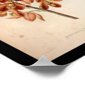 1860ヴィンテージオーキッドフラワープリント赤 ポスター (角)