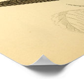 1863年のイギリスの鳥の歴史 ポスター (角)