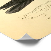 1863年の英国の鳥の歴史 ポスター (角)