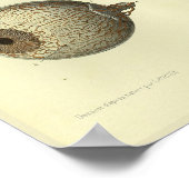 1866人眼解剖学プリント ポスター (角)