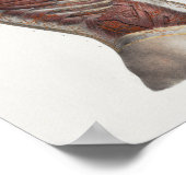 1867トルソ筋肉ヴィンテージ解剖学プリント ポスター (角)