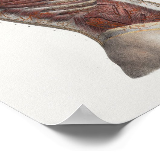 1867トルソ筋肉ヴィンテージ解剖学プリント ポスター (角)