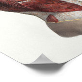 1867トルソ筋肉ヴィンテージ解剖学プリント ポスター (角)