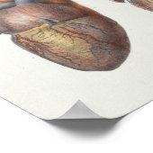 1867ヒトハートヴィンテージ解剖学プリント ポスター (角)