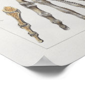 1867手骨ヴィンテージ解剖学プリント ポスター (角)