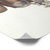 1867肺バック背骨ヴィンテージ解剖学プリント ポスター (角)