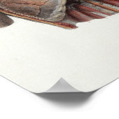 1867肺胸部ヴィンテージ解剖学プリント ポスター (角)