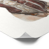 1867胸筋ヴィンテージ解剖学プリント ポスター (角)