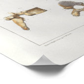 1867脊髄椎骨ヴィンテージ解剖学プリント ポスター (角)