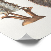 1867頸椎ヴィンテージ解剖学プリント ポスター (角)