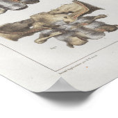 1867頸椎ヴィンテージ解剖学プリント ポスター (角)