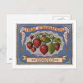 1868年頃の新鮮なイチゴのためのヴィンテージ広告 ポストカード (正面/裏面)