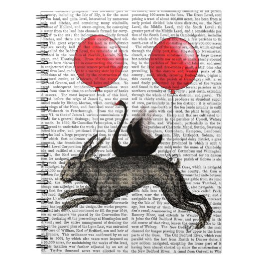 186.ウサギの船 ノートブック (正面)