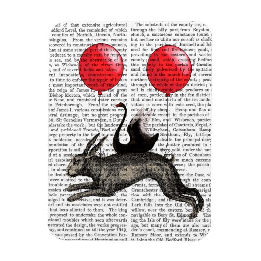 186.ウサギの船 マグネット (縦)