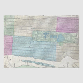 1870マップニューヨークシティセントラルパーク 薄葉紙