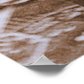 1870年頃のソジャーナー真理のポートレート ポスター (角)